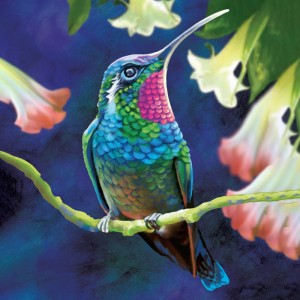 Kit di tela di pittura di punti d'arte di diamanti Hummingbird