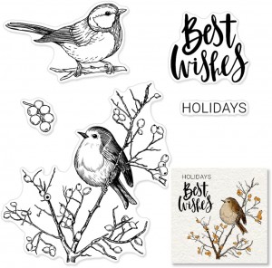 ACS220704-Clear Stamps Rau Daim Npav Ua Thiab Kho Duab Duab Duab