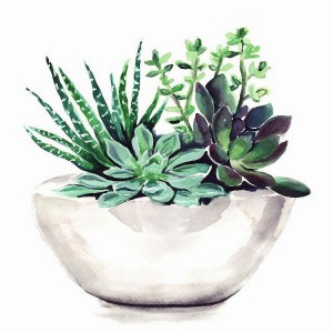 BA-018 Poena per Numeros pro Adultis, DIY Painting Kit for Beginners, 16" x 20" Succulent Pot Acrylic Painting