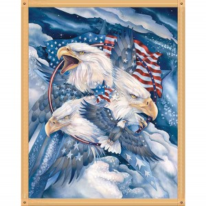 VDP-0001 Pob Zeb Diamond Painting Kit Adult Beginner 5D DIY American Turten Eagle Pob Zeb Diamond Art Kit nrog cov cuab yeej accessories, pob zeb diamond dot painting digital lub pov haum kos duab thiab khoom siv tes ua rau tsev phab ntsa dai khoom plig