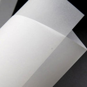 vellum paper